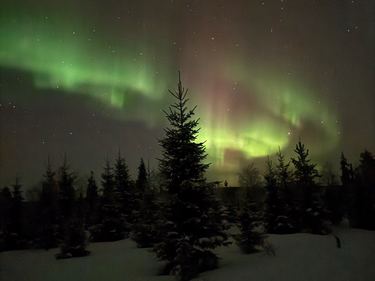 Status Report, 3 March&nbsp;2025